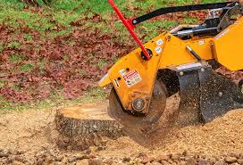 Best Tree and Shrub Care  in Rock Creek, AL