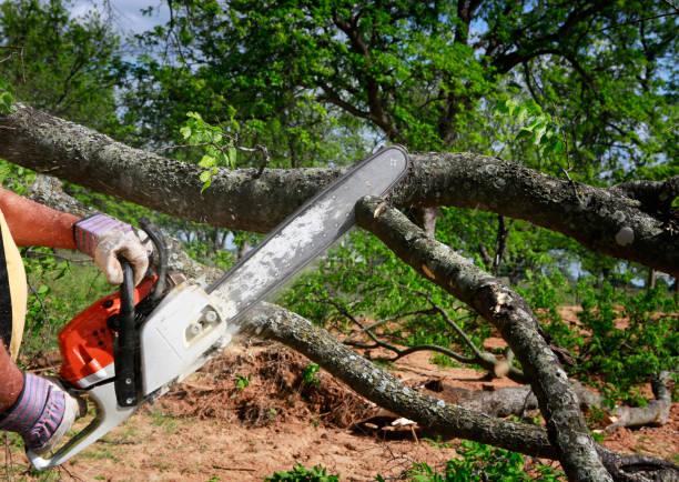 Lawn Irrigation Installation and Maintenance in Rock Creek, AL
